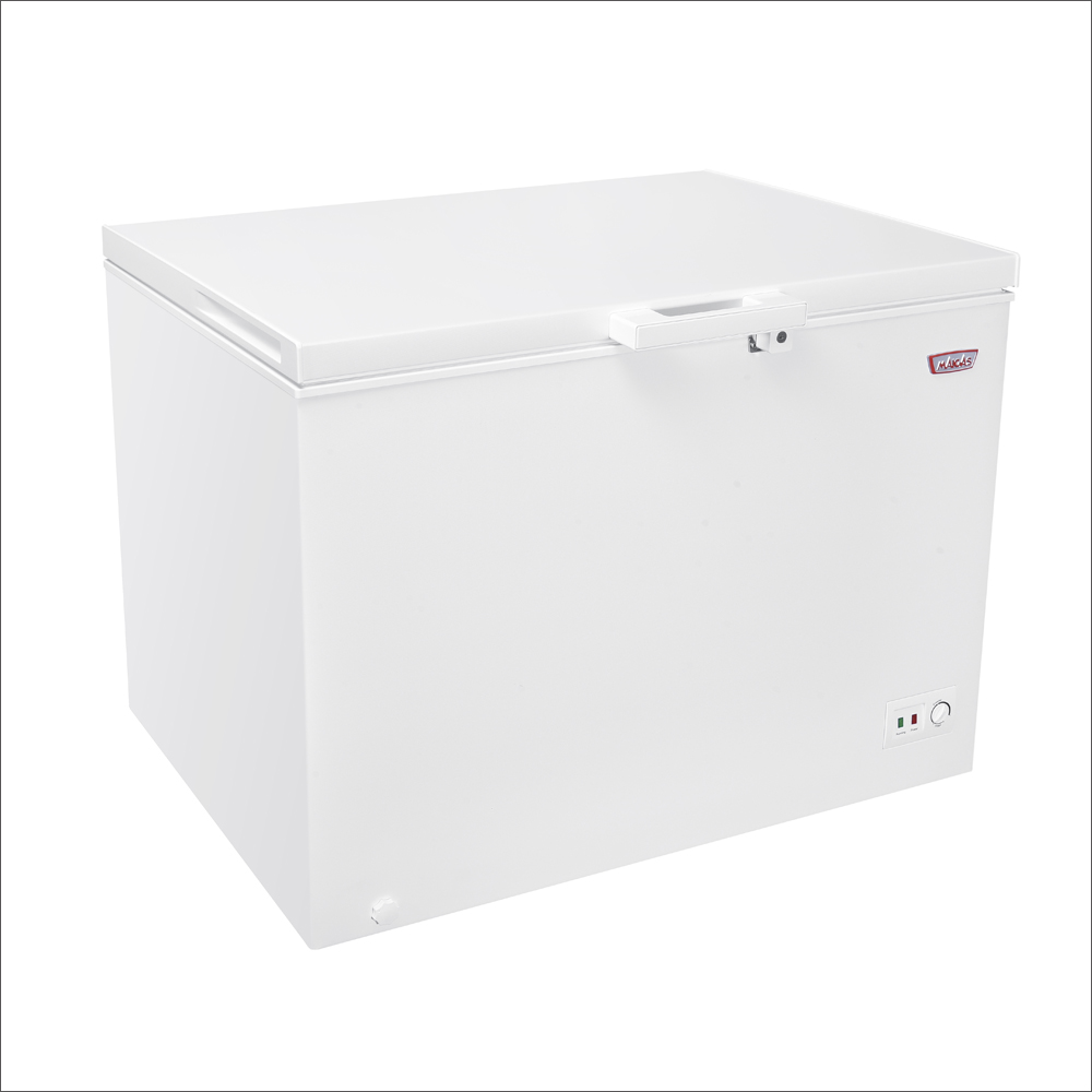 Congelador dual 295 Litros - Maigas